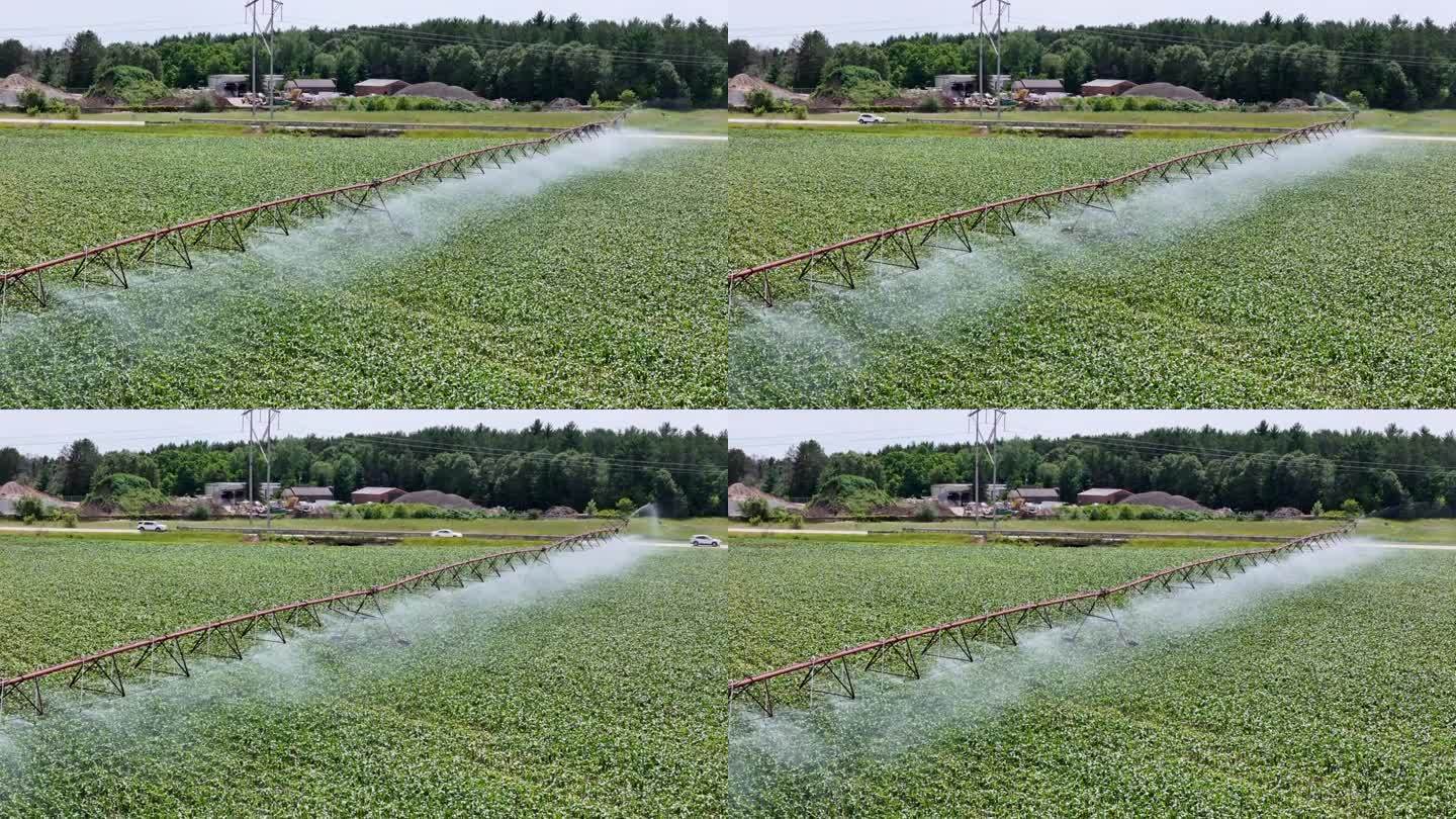 威斯康辛州中部的一片農(nóng)田正在用灑水系統(tǒng)進行灌溉。
